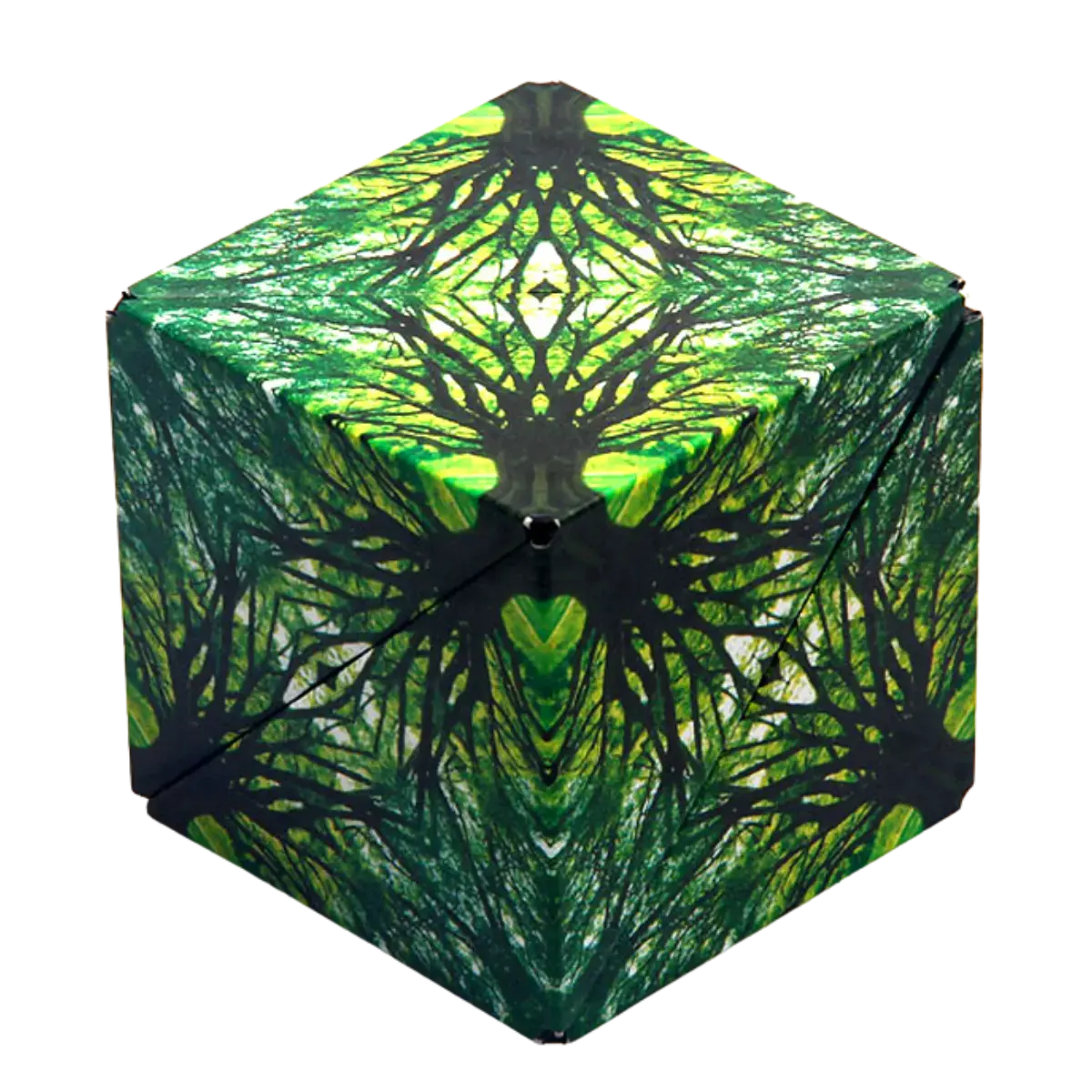Shashibo